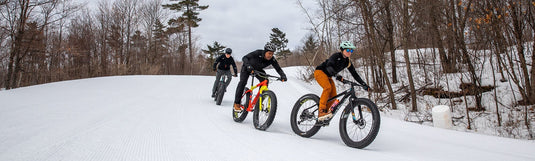 Cyclists having fun in snow