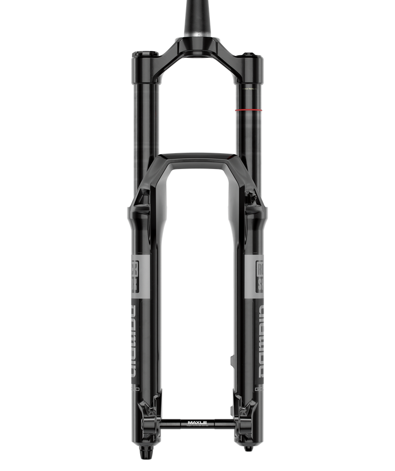 Load image into Gallery viewer, RockShox Domain Gold Isolator RC3 Suspension Fork - 29&quot;, 150 mm, 15 x 110 mm, 44 mm Offset, Gloss Black, C1
