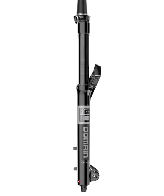 RockShox Domain Gold Isolator RC3 Suspension Fork - 29", 160 mm, 15 x 110 mm, 44 mm Offset, Gloss Black, C1