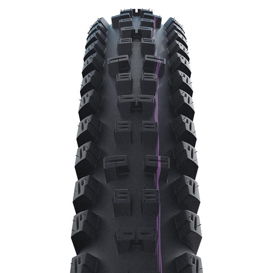 Schwalbe Tacky Chan Mountain Tire, 29