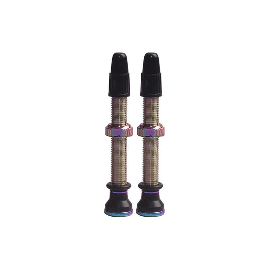 Evo-Tubeless-Valves-TBVL0282