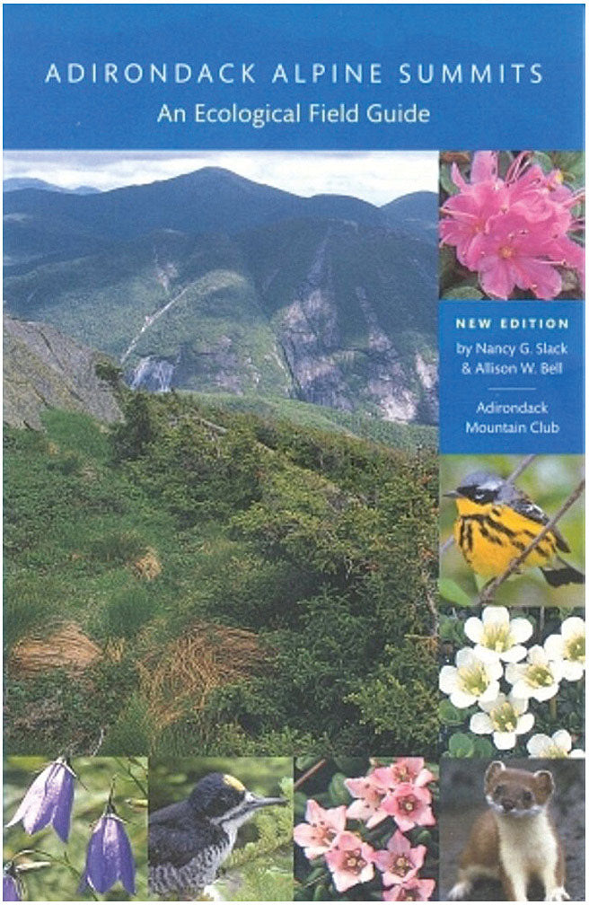 Load image into Gallery viewer, ADIRONDACK-MTN-CLUB-Literature-LTRT0249
