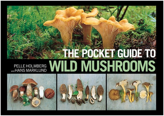 Plants Mushrooming Without Fear: A Comprehensive Guide by Alexander Schwab