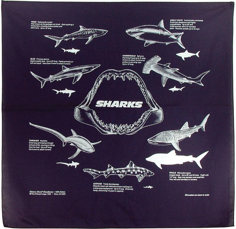 Load image into Gallery viewer, Nature Facts Glow-in-the-Dark Stars Bandana Set
