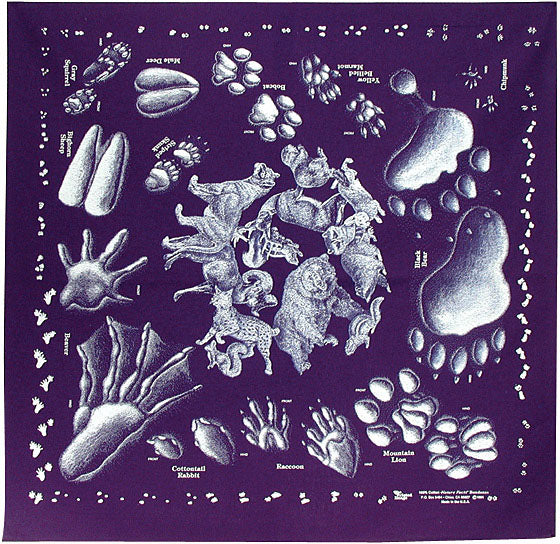 Load image into Gallery viewer, Explore the Wild with The Printed Image Nature Facts Wildflowers Bandana
