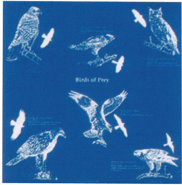 Load image into Gallery viewer, The Printed Image Nature Facts Bandanas: Owl-themed Bandana
