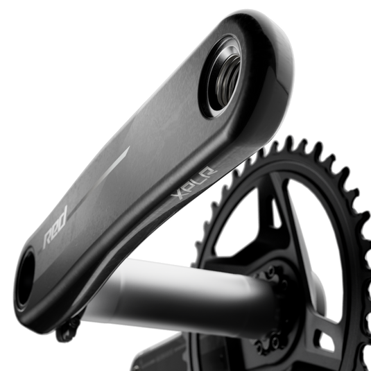 SRAM RED 1x XPLR Wide Crankset - 172.5mm, 13-Speed, 42t, 8-Bolt Direct Mount, DUB Spindle, Natural Carbon, E1