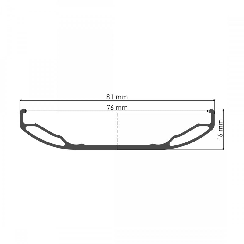 Load image into Gallery viewer, DT Swiss Big Ride Rim - 26&quot; Disc Black 32H Clincher Fat Bike BR710 Presta Cutout
