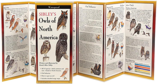 Explore the East with Sibley: A Comprehensive Guide to Bird Watching by David Sibley