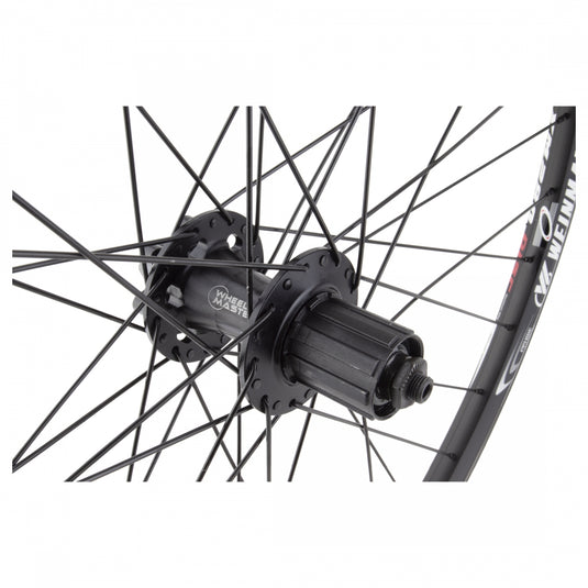 Wheel Master 29in WEI XM280 Rear QRx135mm Double Wall 6-Bolt Clincher Black