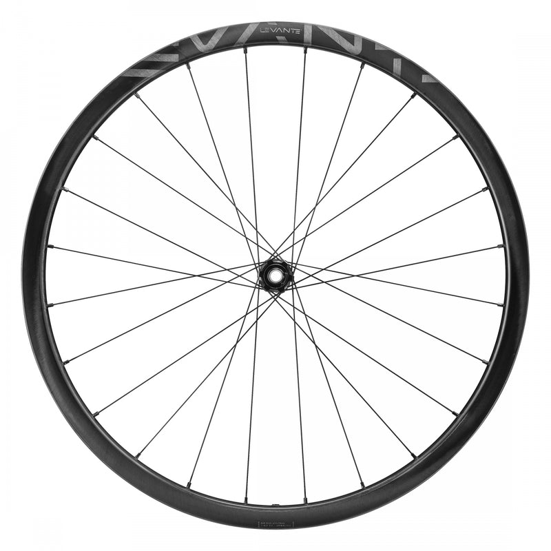 Load image into Gallery viewer, Campagnolo Levante 700c SET 12x100-142mm HG11 Center Lock Disc TCS 24H Carbon
