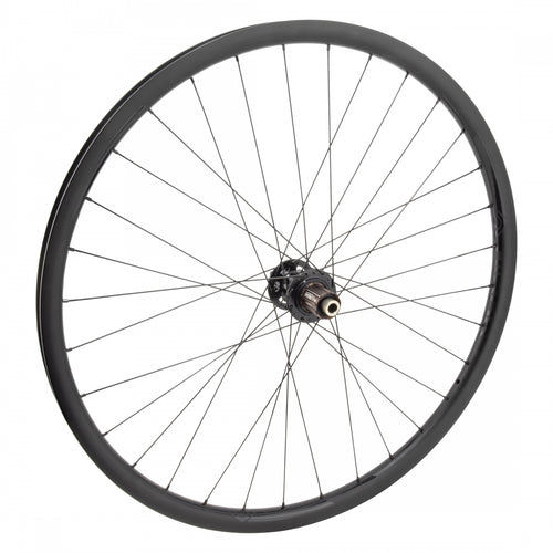 Wheel-Master-29inch-Carbon-Mountain-Disc-Double-Wall-Rear-Wheel-29-in-RRWH2513-Bicycle-Rear-Wheel