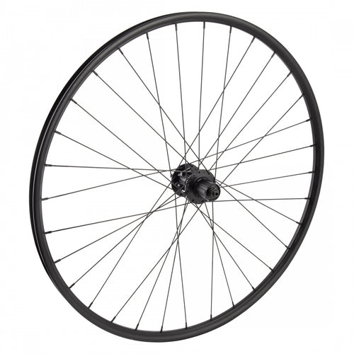 Wheel-Master-29inch-Alloy-Mountain-Disc-Double-Wall-Rear-Wheel-29-in-_RRWH2679