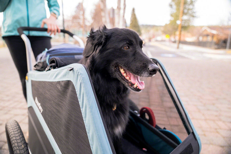 Load image into Gallery viewer, Burley Bark Ranger Pet Bike Trailer
