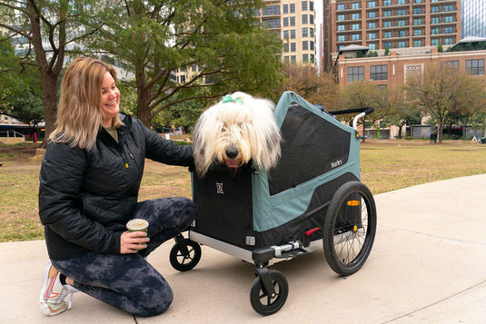 Burley Bark Ranger XL Pet Bike Trailer