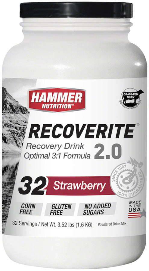 Hammer-Nutrition-Recoverite-Recovery-Drink-Drink-Mixes-GELL0121