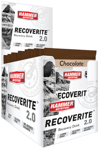 Hammer-Nutrition-Recoverite-Recovery-Drink-Drink-Mixes-GELL0116