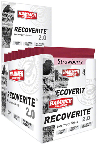 Hammer-Nutrition-Recoverite-Recovery-Drink-Drink-Mixes-GELL0115