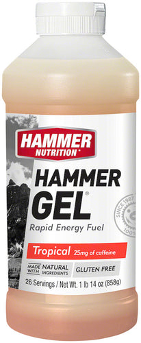 Hammer-Nutrition-Hammer-Gel-Gels-EB4159