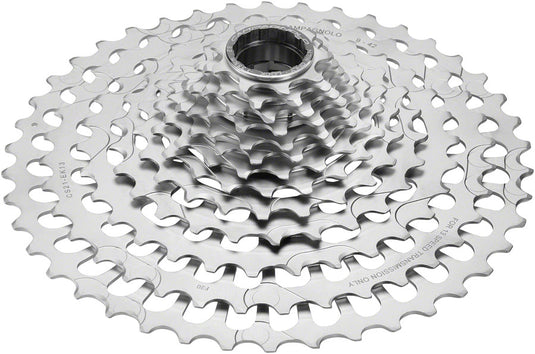 Campagnolo EKAR Cassette - 13-Speed, 9-42t, Silver, For N3W Driver Body