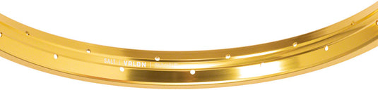 Salt Valon Rim - 20", 36H, Gold