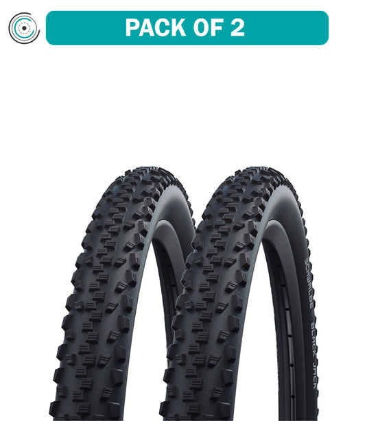 Schwalbe-Black-Jack-Tire-20-in-1.9-Wire-TIRE5668PO2-Wire-Bead-Tires