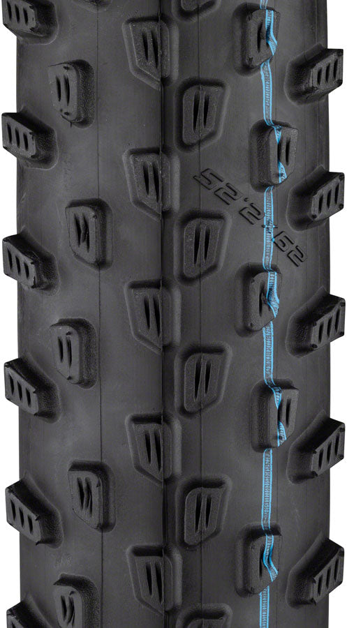 Schwalbe Racing Ray Tire 29 x 2.1 Tubeless Folding Black Addix SpeedGrip