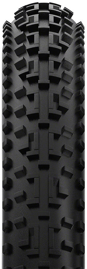 Panaracer GravelKing EXT Plus Tire - 700 x 38, Tubeless, Folding, Black