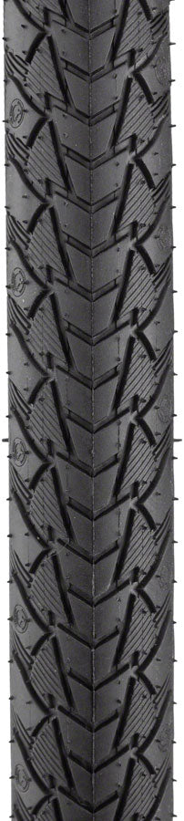 Continental Contact Plus Tire - 700 x 32, Clincher, Wire, Black/Reflex, SafetyPlus Breaker, E50