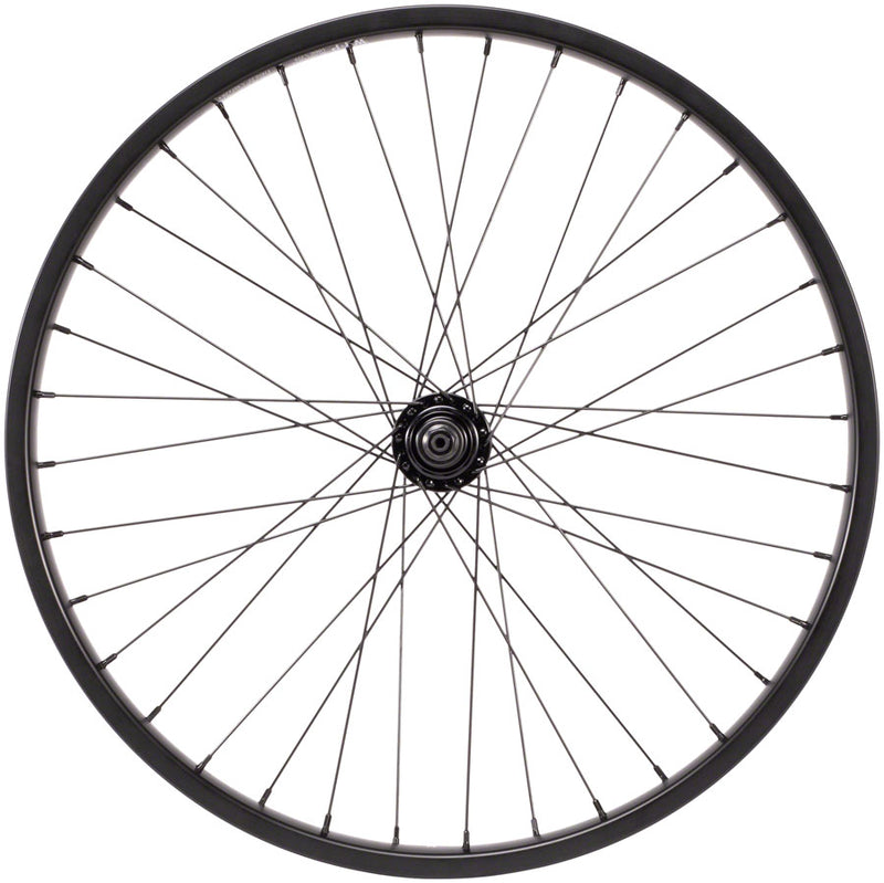 Load image into Gallery viewer, We-The-People-Audio-Front-Wheel-Front-Wheel-20-in-Clincher-FTWH1154-Bicycle-Front-Wheel
