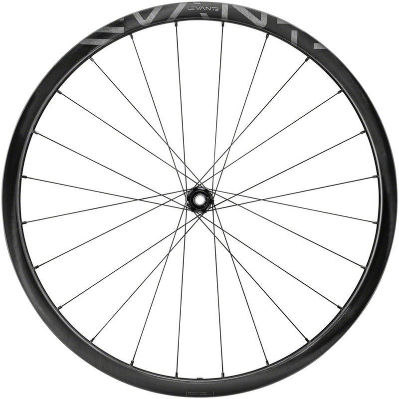 Load image into Gallery viewer, Campagnolo Levante Front Wheel 700c 12x100mm Center Lock 2-Way Fit 24H Black
