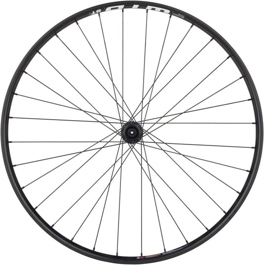 Quality Wheels BearPawls / WTB ST i30 Front Wheel - 29", QR x 100mm, Center-Lock, Black