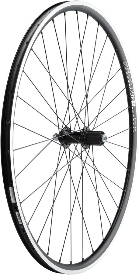 Quality Wheels 105/R460 Rear Wheel 700c QRx130mm Rim Brake HG 11 Clincher Blk