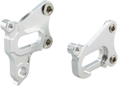 Surly-MDS-Dropout-Chips-Derailleur-Hangers-FS2009